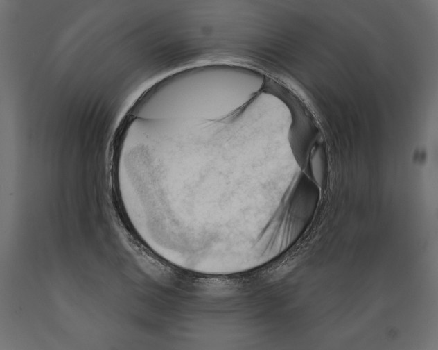 X0000088871124200707061342