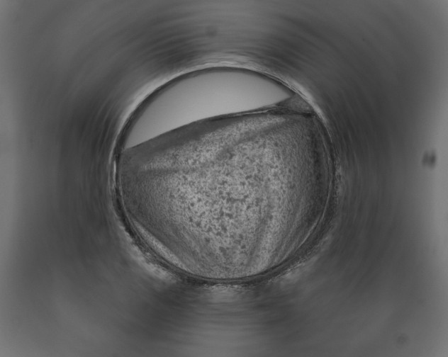 X0000088871125200707061342
