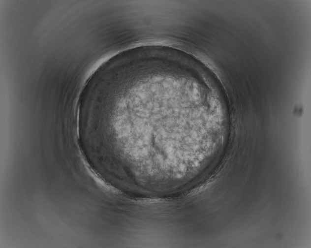 X0000088871127200707061342