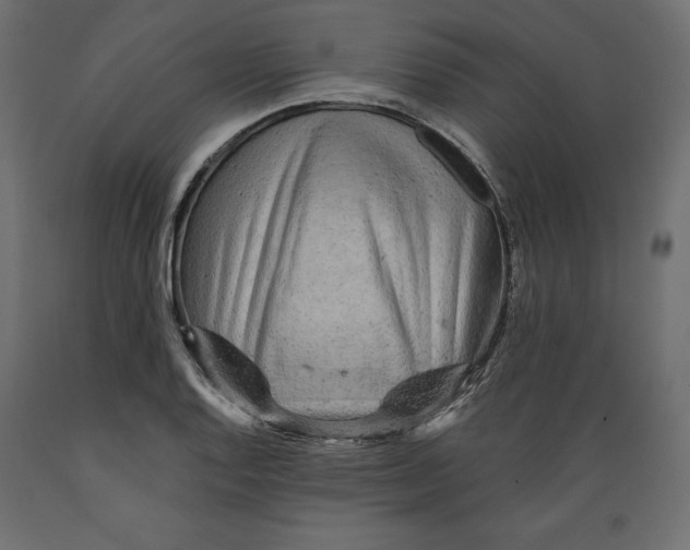 X0000088871128200707061342