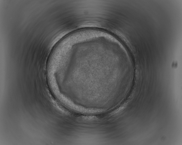 X0000088871129200707061342