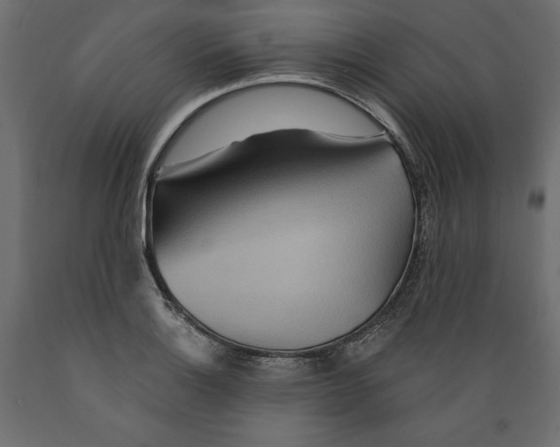 X0000088871132200707061342