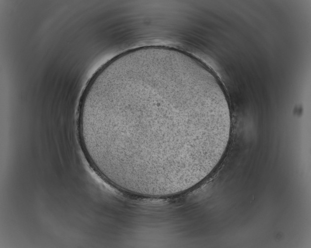 X0000088871135200707061342