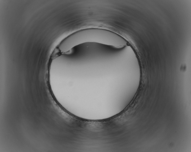 X0000088871136200707061342