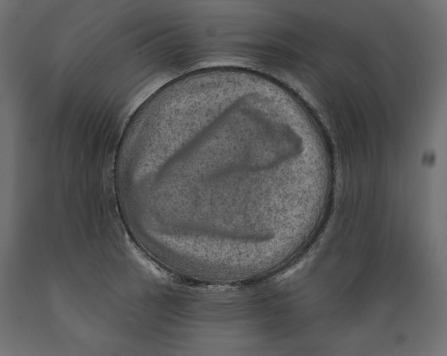 X0000088871137200707061342