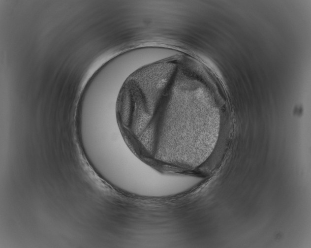 X0000088871138200707061342