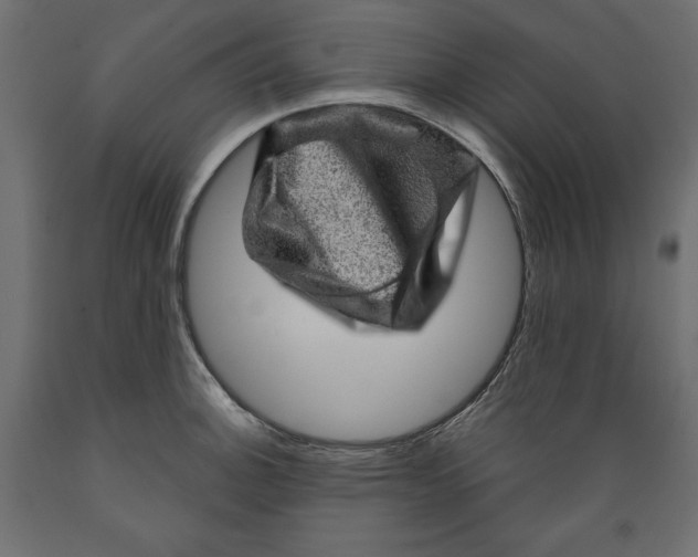 X0000088871140200707061342