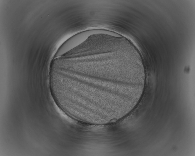 X0000088871143200707061342