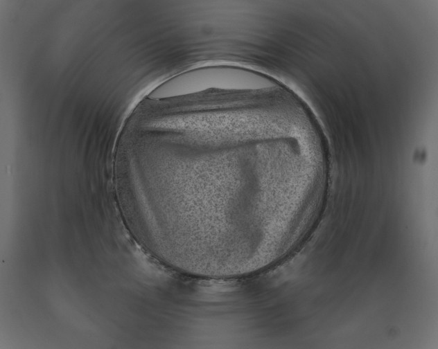 X0000088871145200707061342