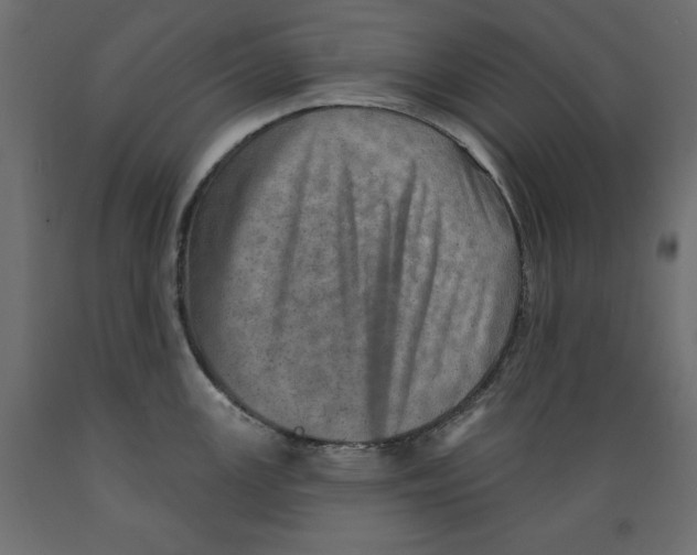 X0000088871147200707061342