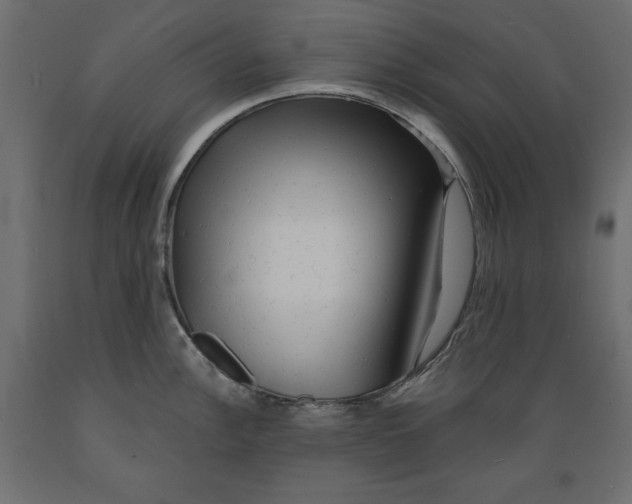 X0000088871148200707061342