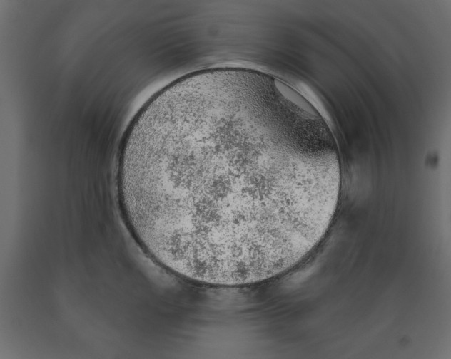 X0000088871149200707061342