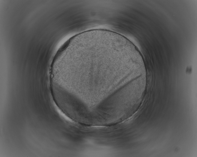 X0000088871151200707061342
