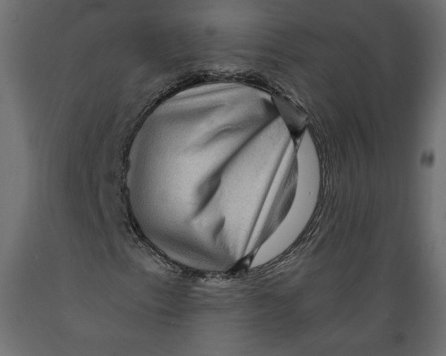 X0000088871153200707061341
