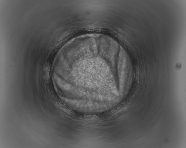 X0000088871154200707061341