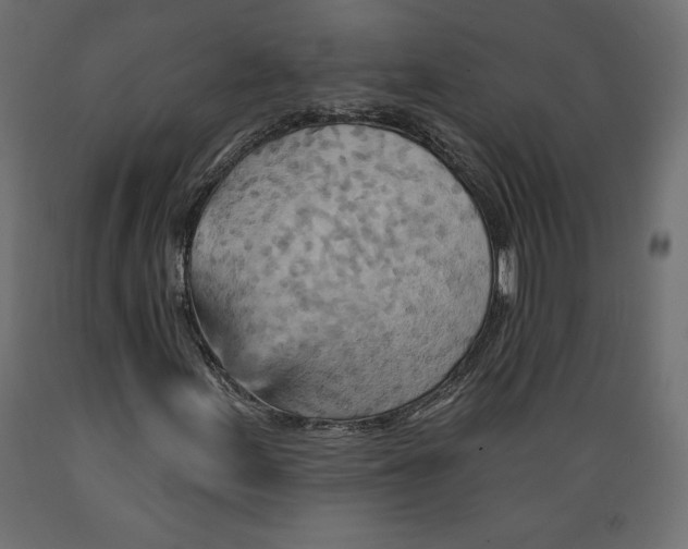 X0000088871155200707061341