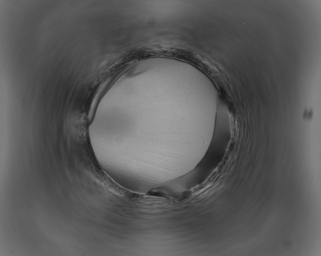 X0000088871156200707061341