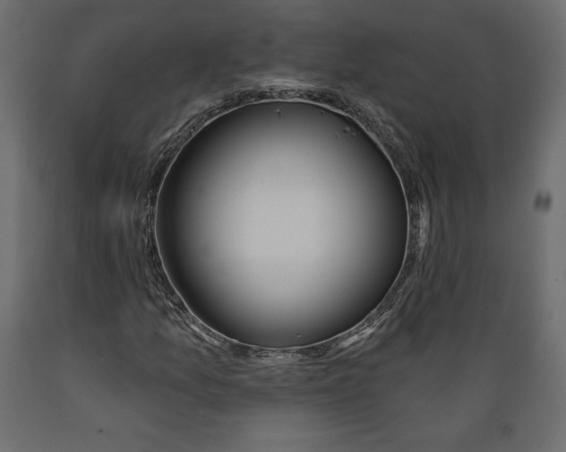X0000088871157200707061341
