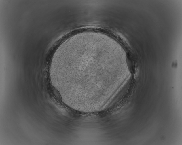 X0000088871159200707061341