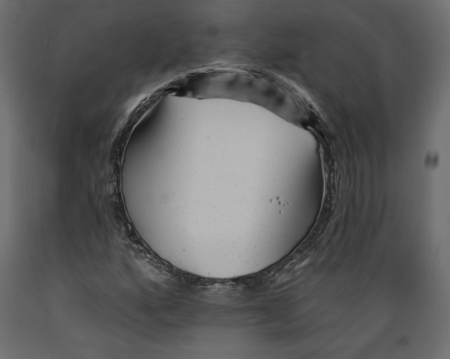 X0000088871160200707061341