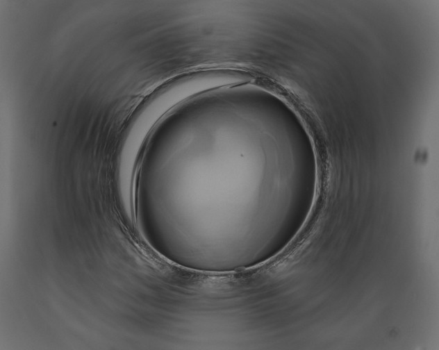 X0000088871161200707061341