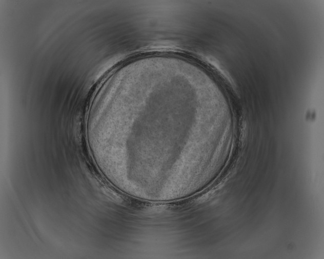 X0000088871162200707061341