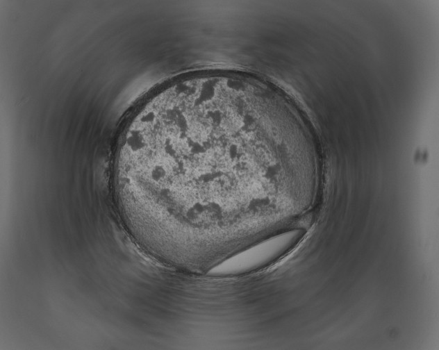 X0000088871163200707061341
