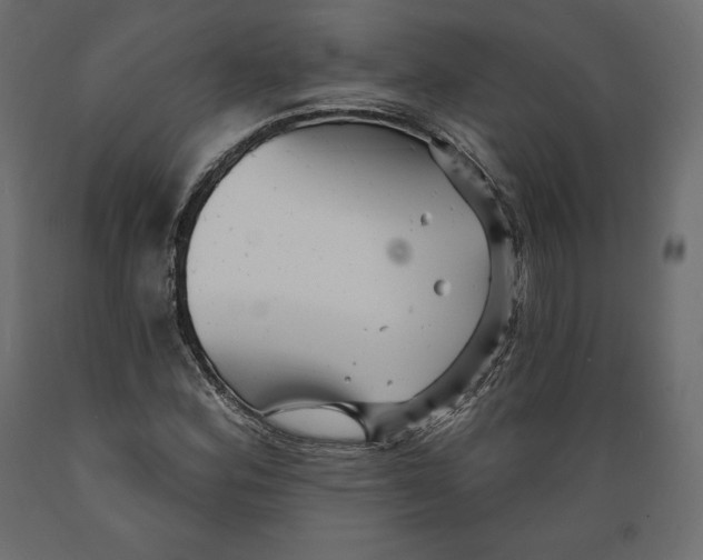 X0000088871164200707061341