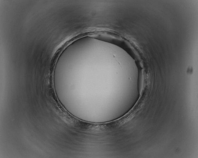 X0000088871165200707061341