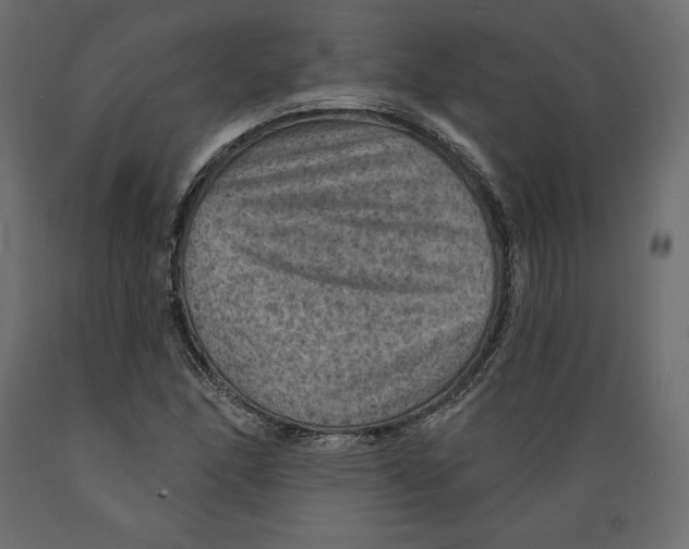 X0000088871166200707061341