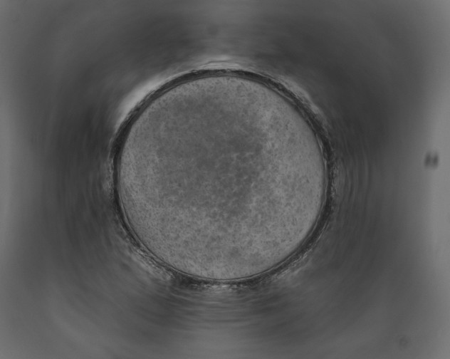 X0000088871167200707061341