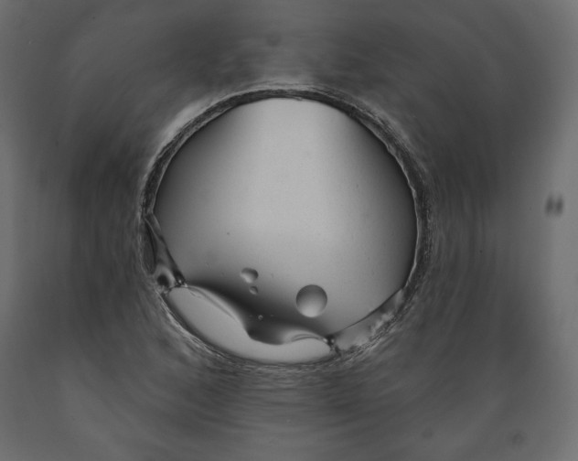 X0000088871168200707061341