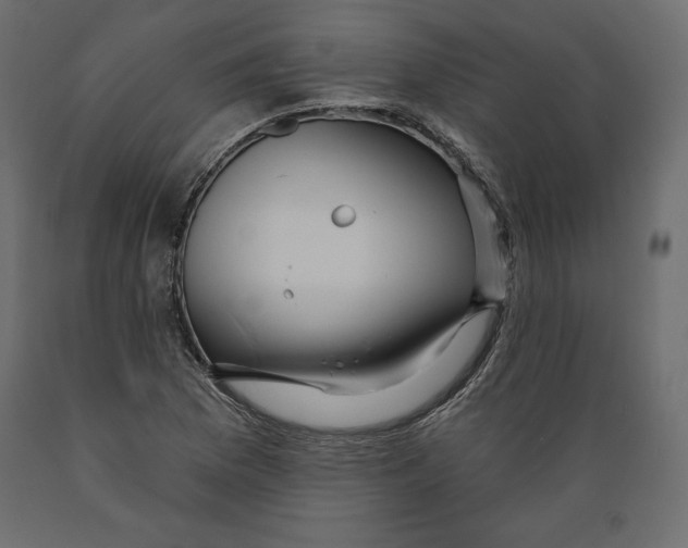 X0000088871169200707061341