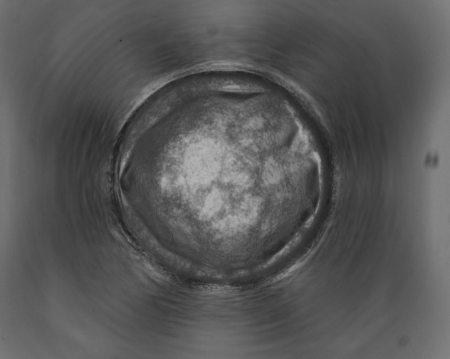 X0000088871170200707061341