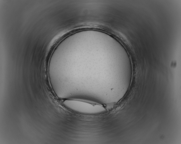 X0000088871172200707061341
