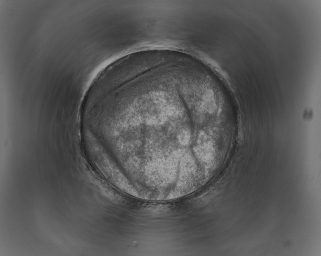 X0000088871174200707061341