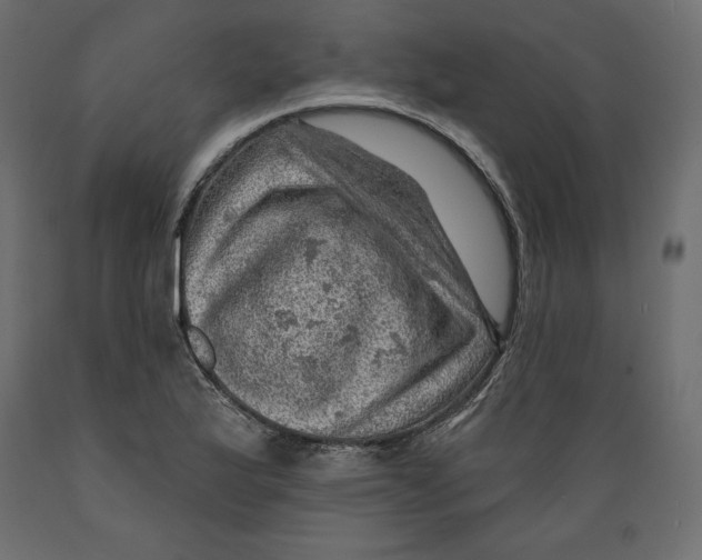 X0000088871175200707061341