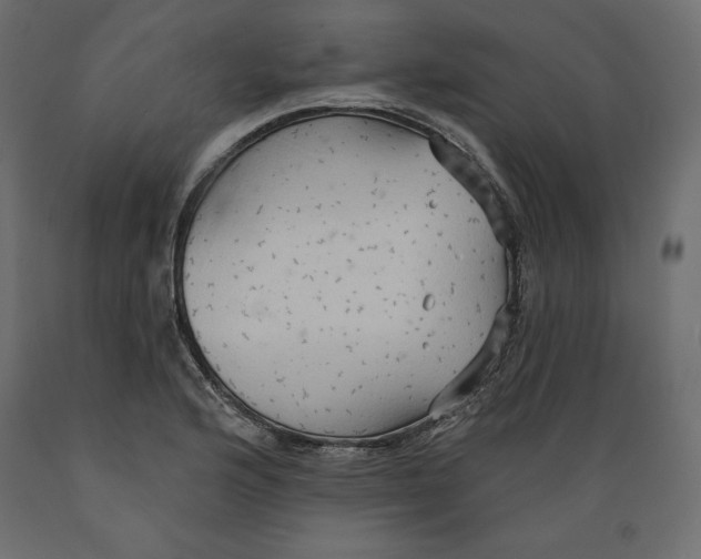 X0000088871176200707061341