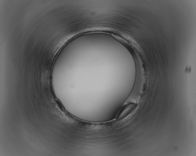 X0000088871177200707061341