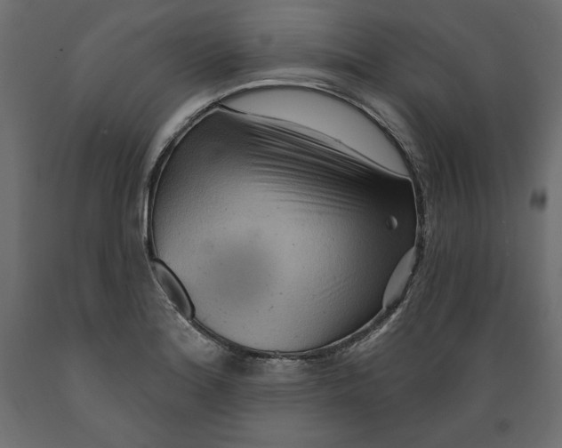 X0000088871180200707061341