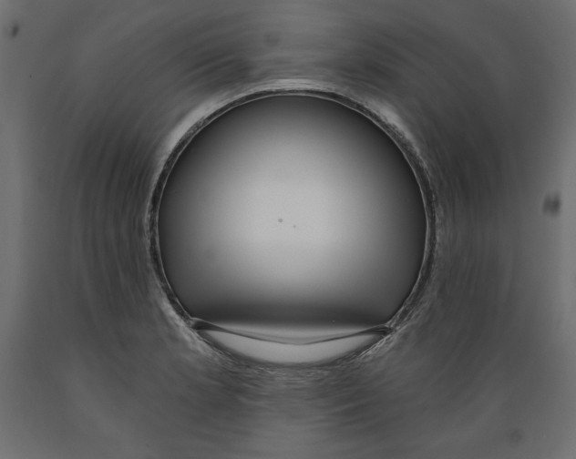 X0000088871181200707061341