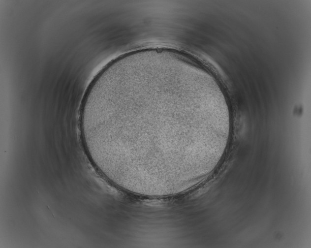 X0000088871182200707061341