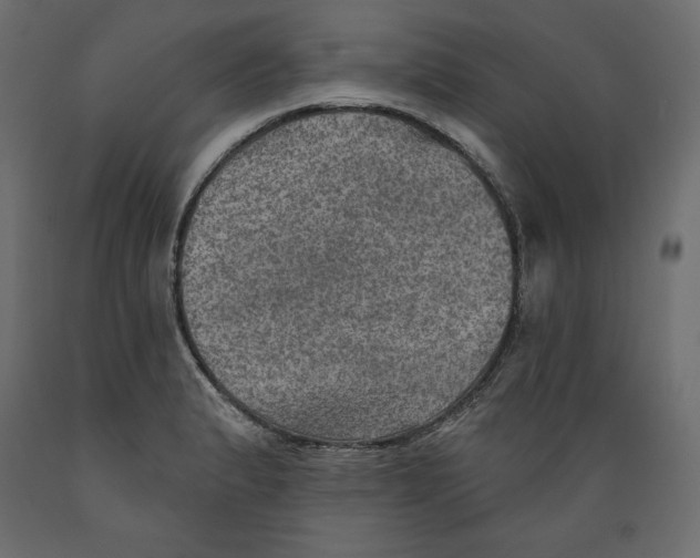 X0000088871183200707061341