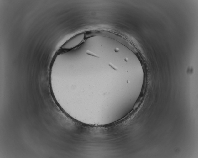 X0000088871184200707061341