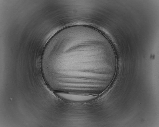 X0000088871185200707061341