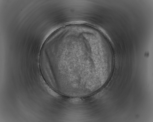 X0000088871186200707061341