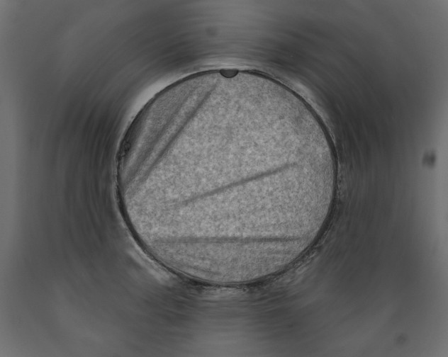 X0000088871187200707061341