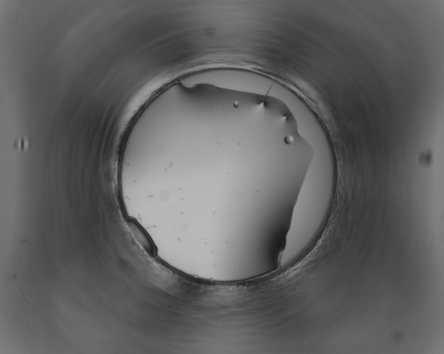 X0000088871188200707061341