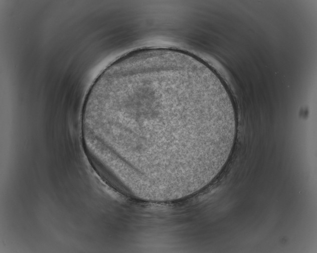 X0000088871191200707061341
