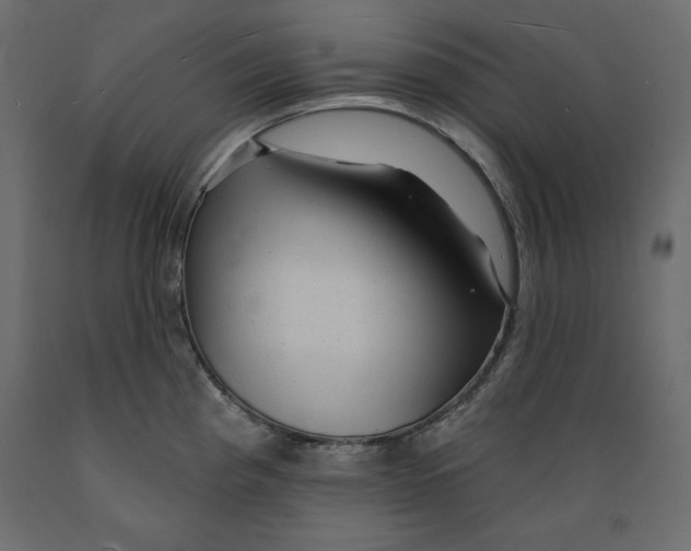 X0000088871193200707061341